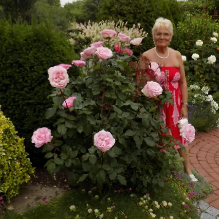 Evi Opp - Harmonie Brodersdorf