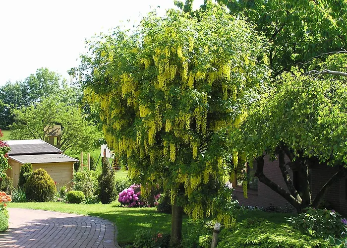 Evi Opp - Harmonie * Brodersdorf